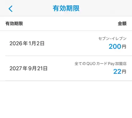 QUOカードPayアプリ内の有効期限をタップ後の画面